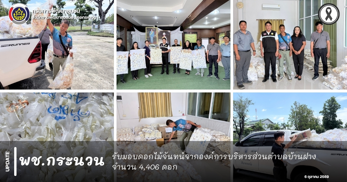 📰 พช.กระนวน : รับมอบดอกไม้จันทน์จากองค์การบริหารส่วนตำบลบ้านฝาง จำนวน 4,406 ดอก