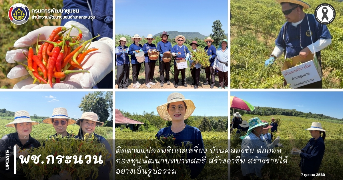 📰 พช.กระนวน : ติดตามแปลงพริกกะเหรี่ยง บ้านคลองชัย ต่อยอดกองทุนพัฒนาบทบาทสตรี สร้างอาชีพ สร้างรายได้อย่างเป็นรูปธรรม