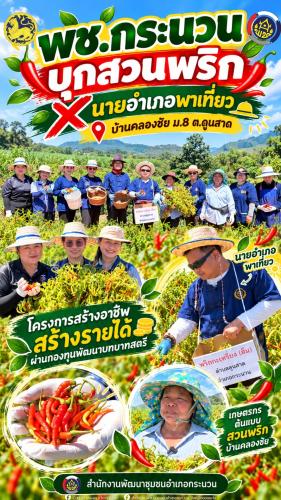🌶️ พช.กระนวนบุกสวนพริก X นายอำเภอพาเที่ยว